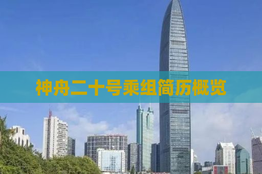 神舟二十号乘组简历概览