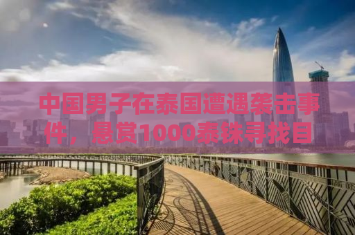 中国男子在泰国遭遇袭击事件，悬赏1000泰铢寻找目击证人