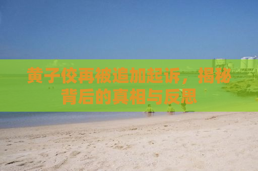 黄子佼再被追加起诉，揭秘背后的真相与反思