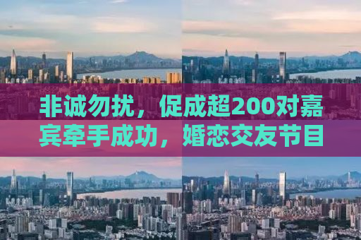 非诚勿扰，促成超200对嘉宾牵手成功，婚恋交友节目的魅力与反思