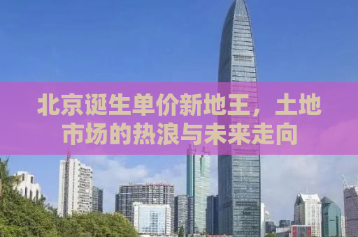 北京诞生单价新地王，土地市场的热浪与未来走向