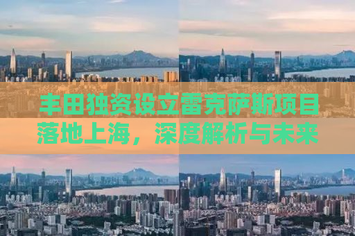 丰田独资设立雷克萨斯项目落地上海，深度解析与未来展望