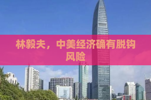 林毅夫，中美经济确有脱钩风险