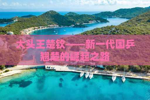 大头王楚钦——新一代国乒翘楚的崛起之路