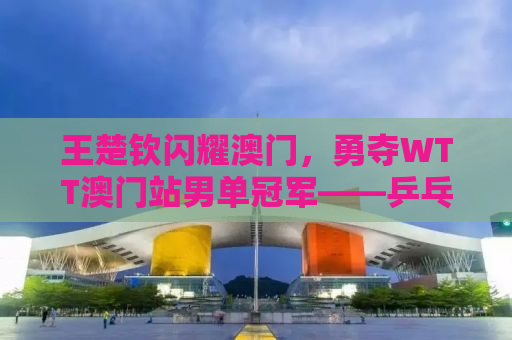 王楚钦闪耀澳门，勇夺WTT澳门站男单冠军——乒乓球新星再次闪耀世界舞台！
