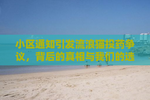 小区通知引发流浪猫投药争议，背后的真相与我们的选择
