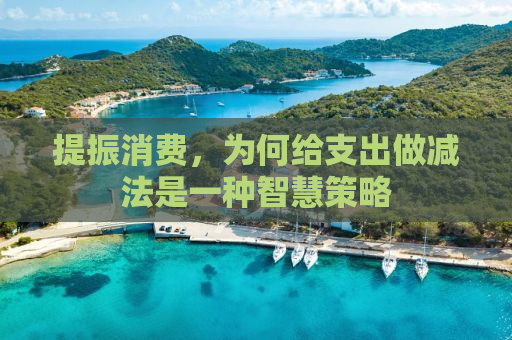 提振消费，为何给支出做减法是一种智慧策略