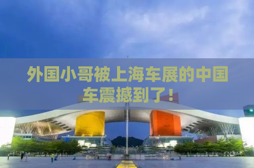 外国小哥被上海车展的中国车震撼到了！