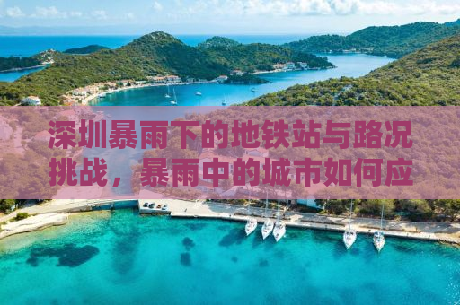 深圳暴雨下的地铁站与路况挑战，暴雨中的城市如何应对？