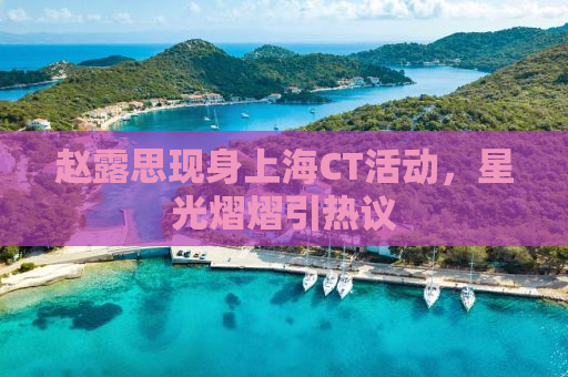 赵露思现身上海CT活动，星光熠熠引热议