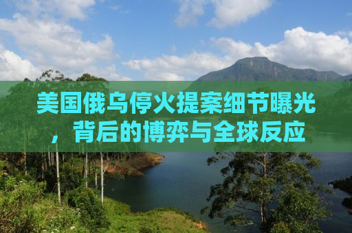 美国俄乌停火提案细节曝光，背后的博弈与全球反应