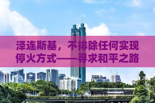 泽连斯基，不排除任何实现停火方式——寻求和平之路的挑战与机遇