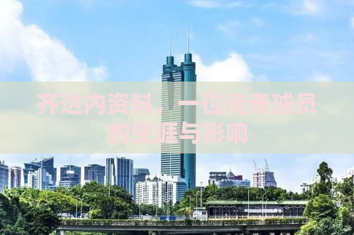 齐达内资料，一位传奇球员的生涯与影响