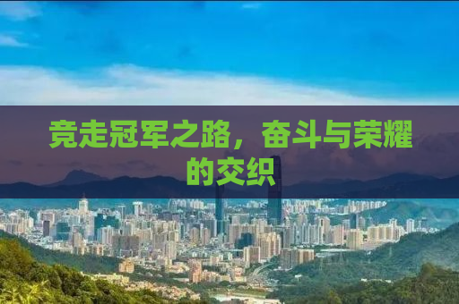 竞走冠军之路，奋斗与荣耀的交织