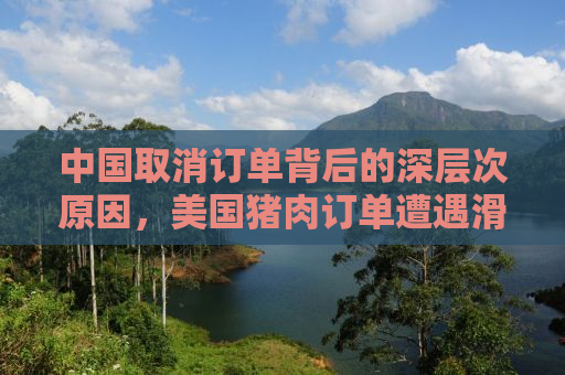 中国取消订单背后的深层次原因，美国猪肉订单遭遇滑铁卢事件分析