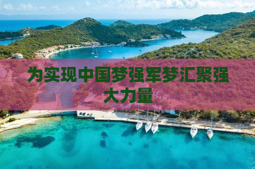 为实现中国梦强军梦汇聚强大力量
