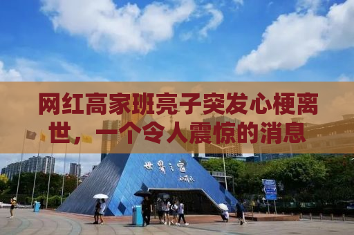 网红高家班亮子突发心梗离世，一个令人震惊的消息