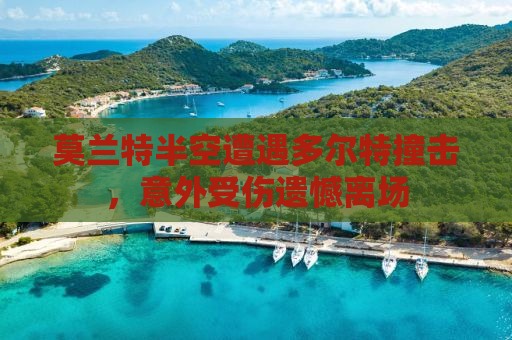 莫兰特半空遭遇多尔特撞击，意外受伤遗憾离场