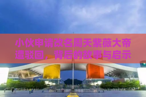 小伙申请改名周天紫薇大帝遭驳回，背后的故事与启示