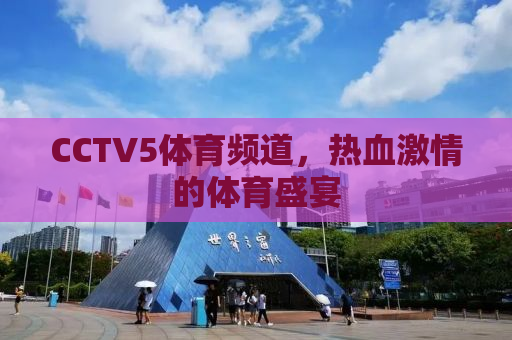 CCTV5体育频道，热血激情的体育盛宴