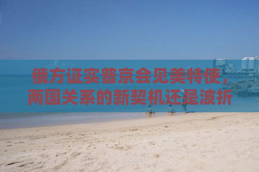 俄方证实普京会见美特使，两国关系的新契机还是波折？