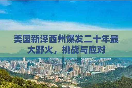 美国新泽西州爆发二十年最大野火，挑战与应对