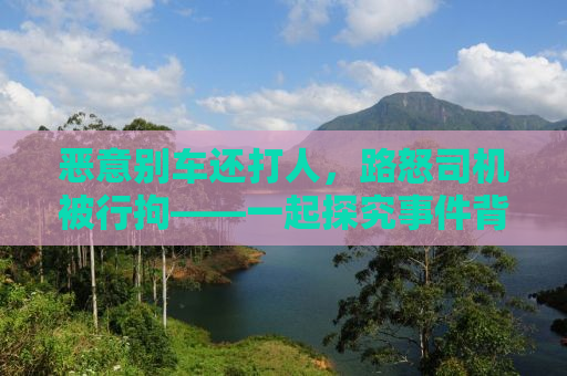 恶意别车还打人，路怒司机被行拘——一起探究事件背后的故事