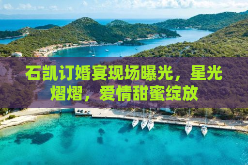 石凯订婚宴现场曝光，星光熠熠，爱情甜蜜绽放