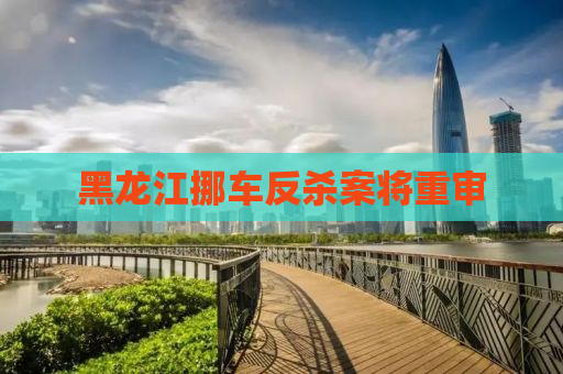 黑龙江挪车反杀案将重审