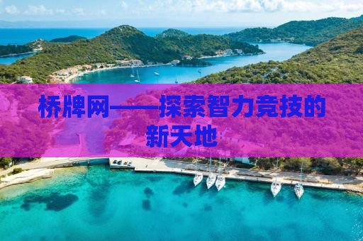 桥牌网——探索智力竞技的新天地
