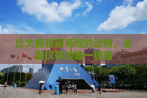 比大熊猫更濒危的动物，全国仅存的唯一独苗