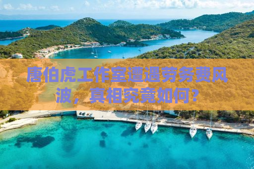 唐伯虎工作室遭遇劳务费风波，真相究竟如何？