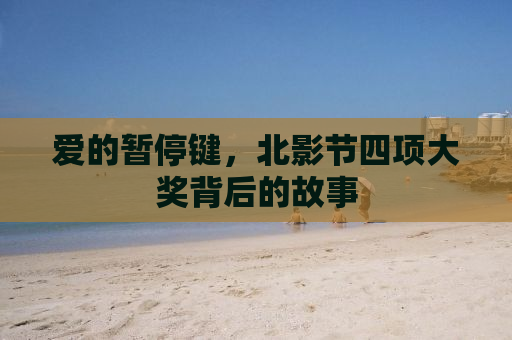 爱的暂停键，北影节四项大奖背后的故事