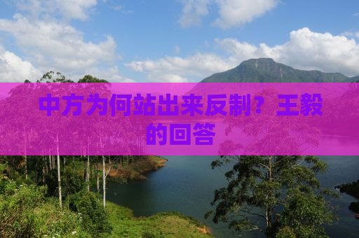中方为何站出来反制？王毅的回答