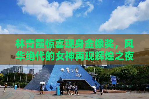 林青霞惊喜现身金像奖，风华绝代的女神再现辉煌之夜