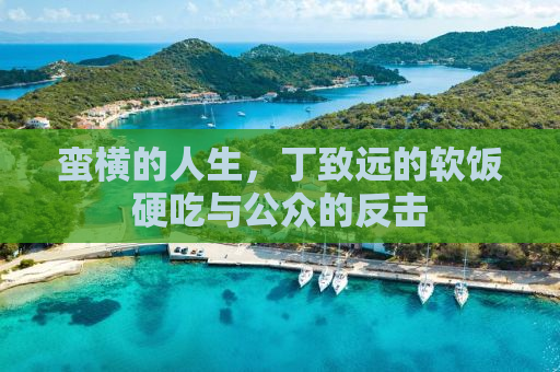 蛮横的人生，丁致远的软饭硬吃与公众的反击