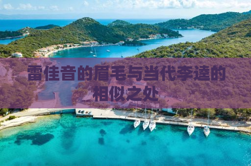 雷佳音的眉毛与当代李逵的相似之处