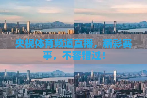 央视体育频道直播，精彩赛事，不容错过！