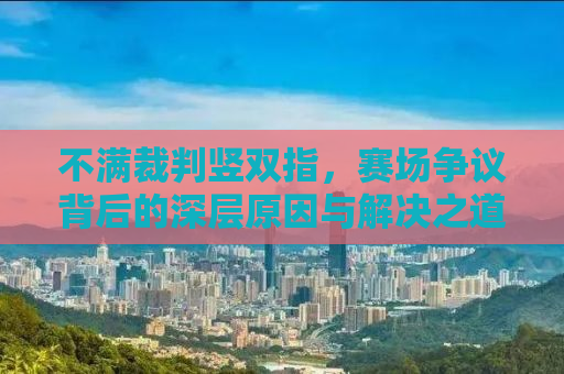 不满裁判竖双指，赛场争议背后的深层原因与解决之道