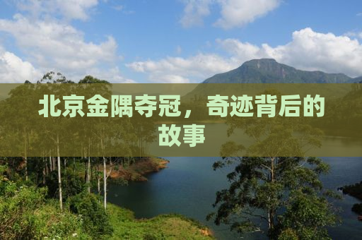 北京金隅夺冠，奇迹背后的故事