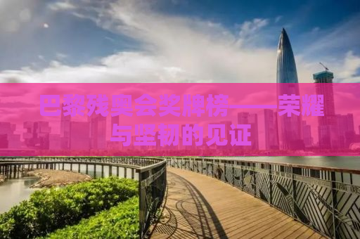巴黎残奥会奖牌榜——荣耀与坚韧的见证