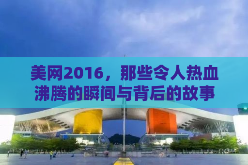 美网2016，那些令人热血沸腾的瞬间与背后的故事