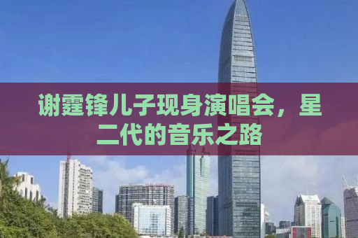 谢霆锋儿子现身演唱会，星二代的音乐之路