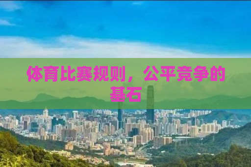 体育比赛规则，公平竞争的基石