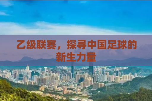 乙级联赛，探寻中国足球的新生力量