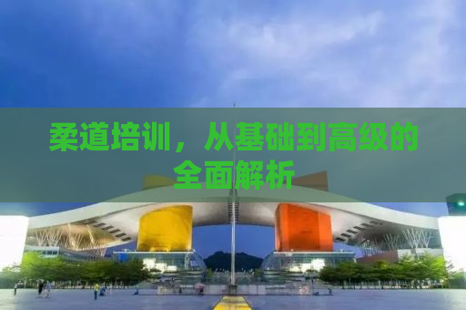 柔道培训，从基础到高级的全面解析