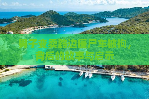 男子变卖路边僵尸车被拘，背后的故事与启示