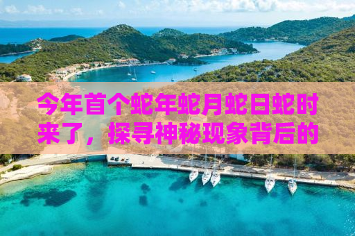 今年首个蛇年蛇月蛇日蛇时来了，探寻神秘现象背后的真相