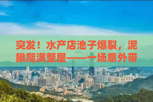 突发！水产店池子爆裂，泥鳅爬满整屋——一场意外带来的惊喜与挑战
