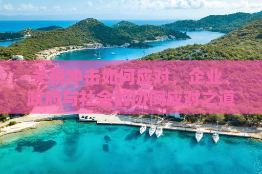 关税冲击如何应对，企业、政府与社会的协同应对之道